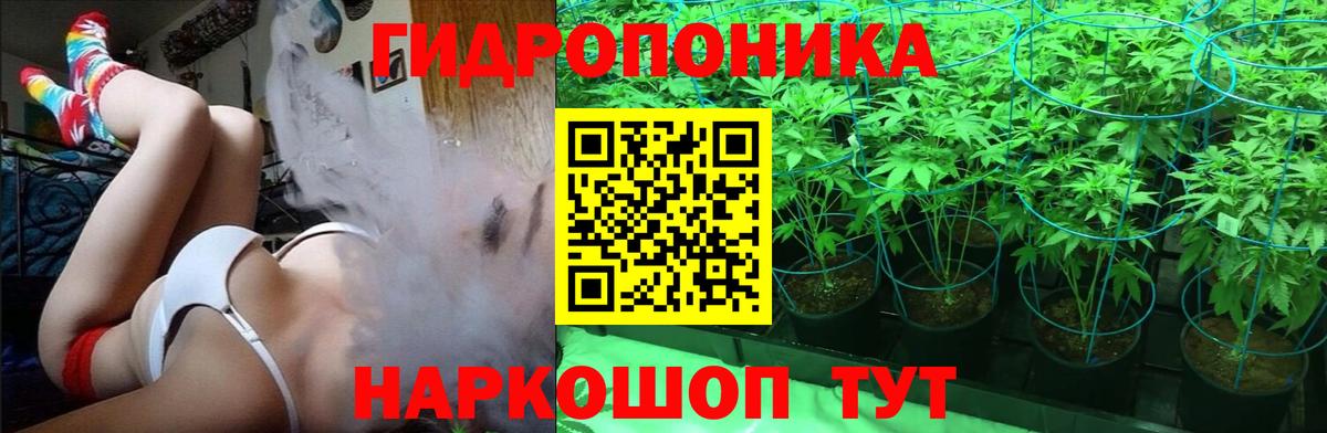 Конопля VHQ  Бошки Шишки индика  Бошки марихуана Bruce Banner  Армавир  Вход с VPN  Конопля VHQ 